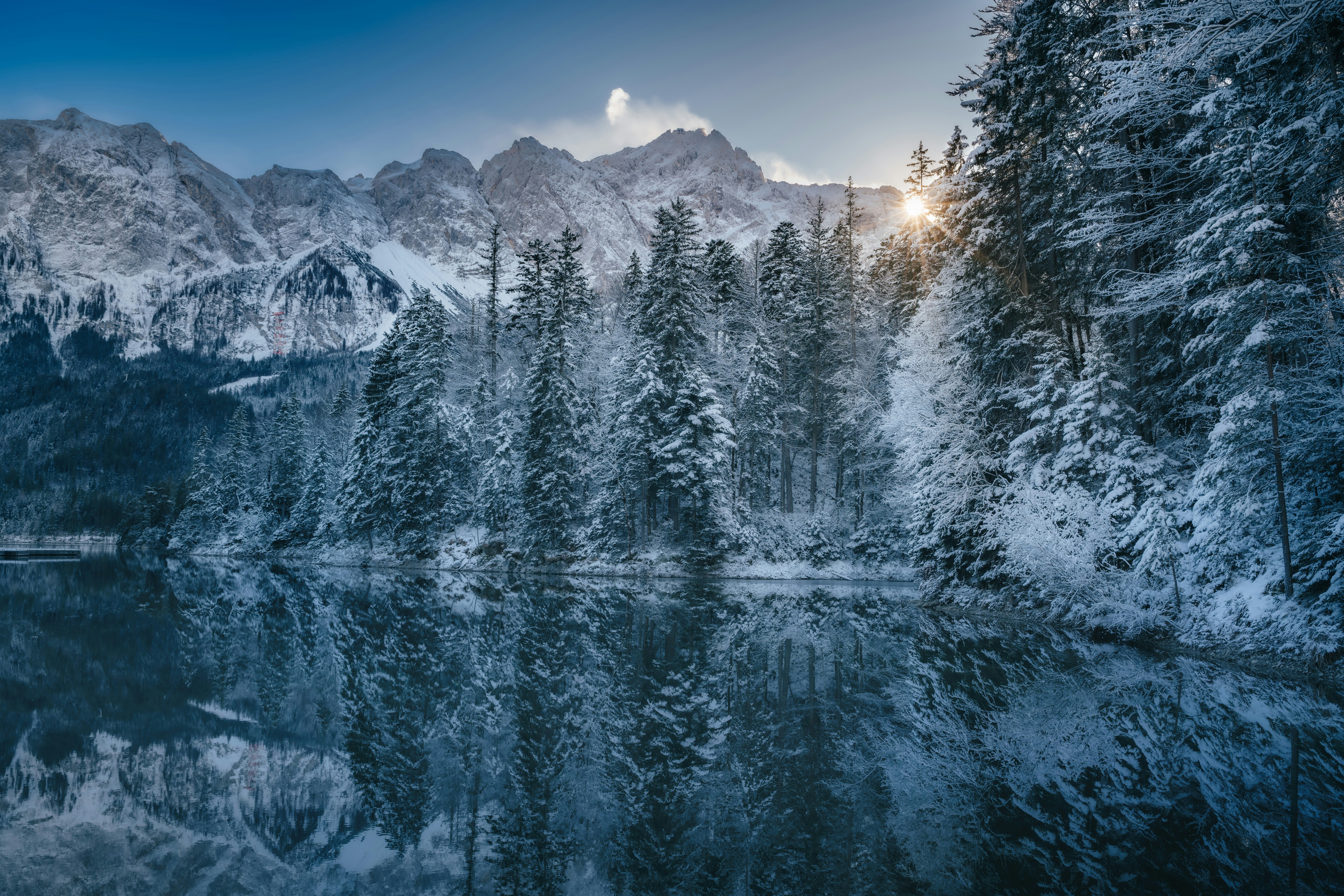 An image with a nature